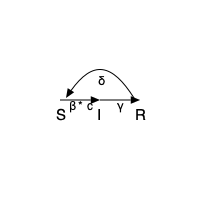 SIRS Compartmental Model