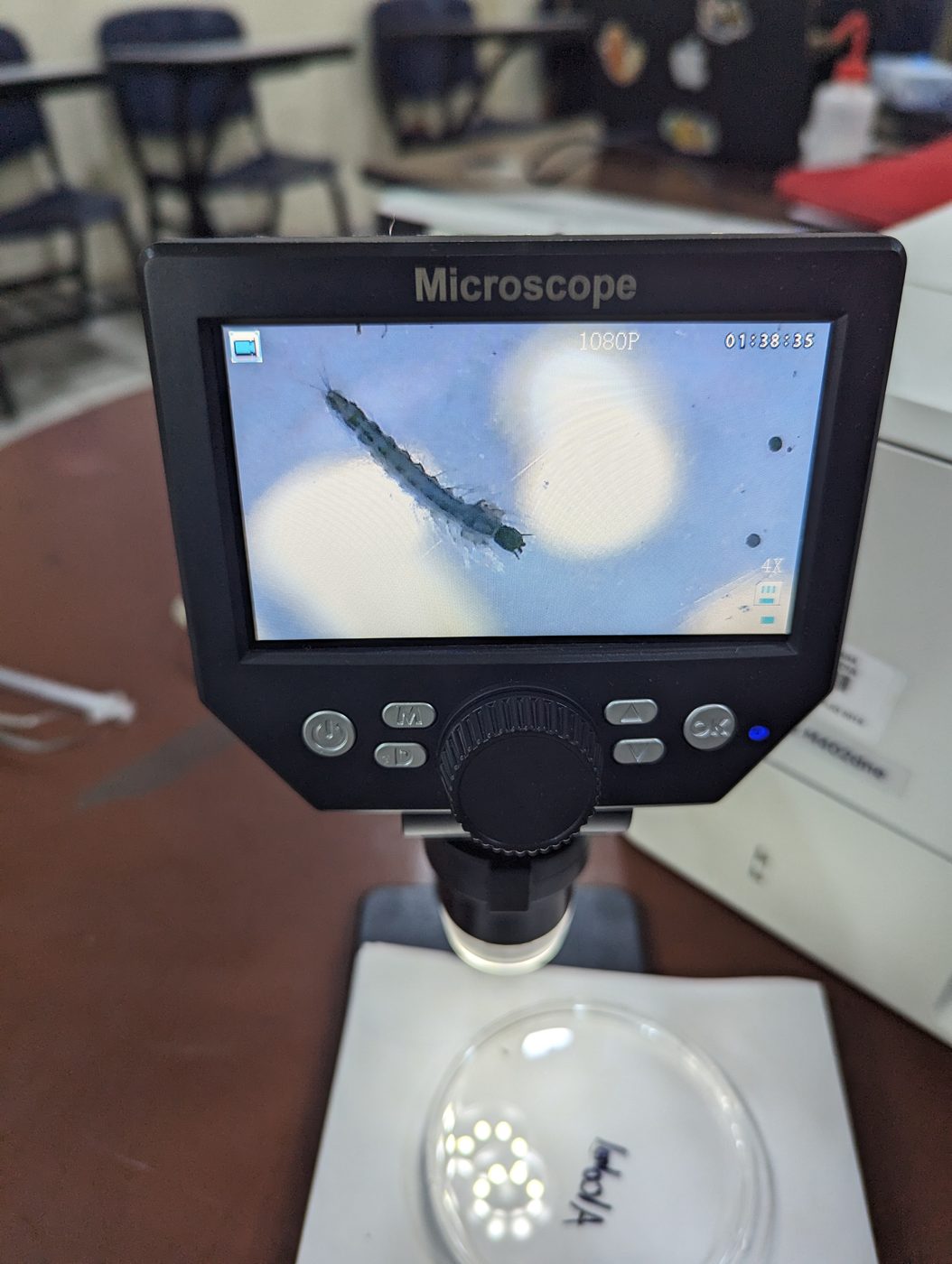 A digital microscope displays a specimen during field laboratory work.
