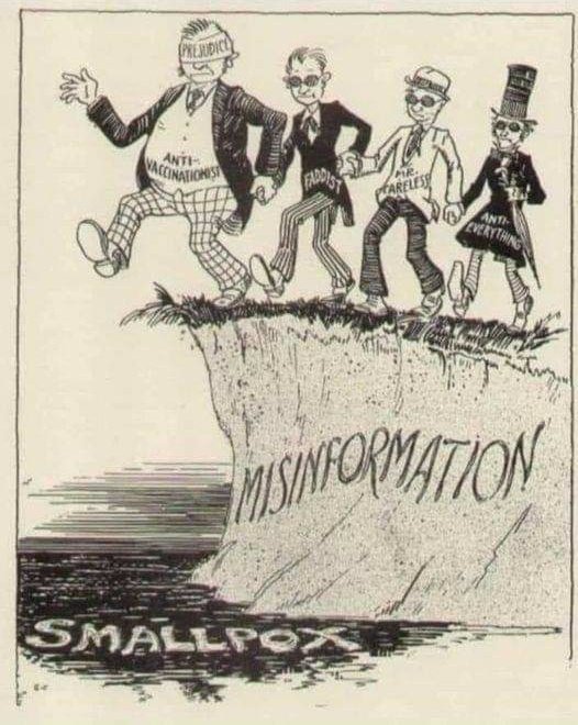 An early 20th-century cartoon: figures labeled 'anti-vaccinationist', 'faddist', 'mr. careless', and 'anti-everything' walk arm in arm off a cliff of 'misinformation' toward 'smallpox' below.