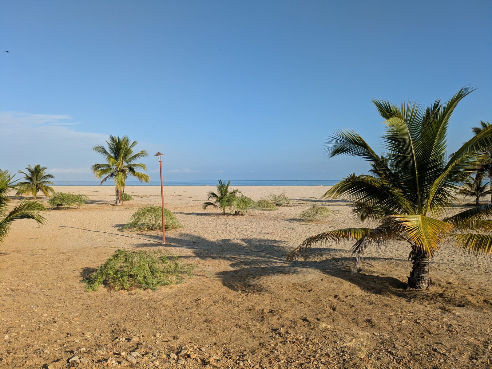 A palm-lined beach on the Pacific coast at Tumbes, Peru.